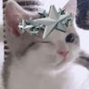 Meet your Posher, Jayniyah